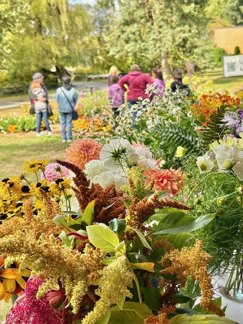 Close up of flowers with people gathered around a flower cutting garden in the distance.